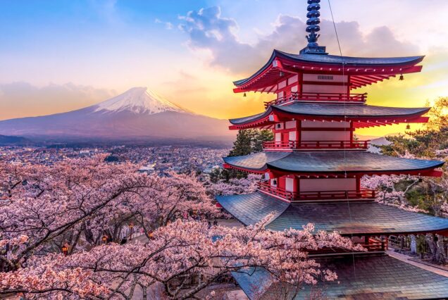 Zamana Saygı, Estetiğe Yolculuk: Japon Kültürüyle Birebir Temas